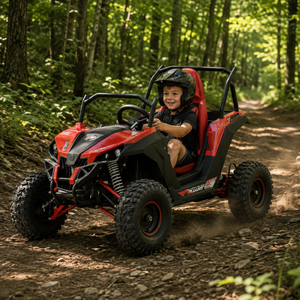 SXS, UTV, Buggy  électriques