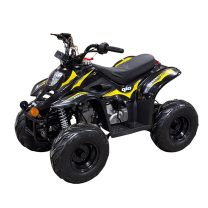 VTT 110P