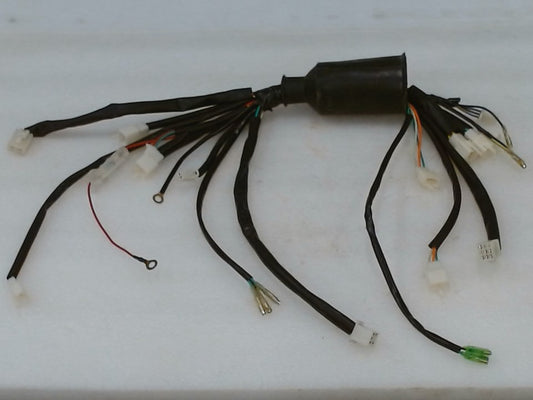 125D-WIRE-HARNESS_Chinese_20898_1.jpeg