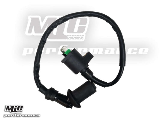 IGNITION-COIL-50-150CC-05_Chinese_22932_1.jpeg