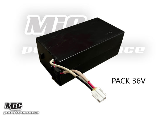 PACK-BATTERIES-36V-E-VTT_Chinese_37719_1.jpeg
