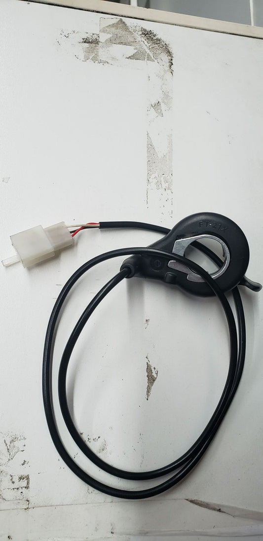 THROTTLE-1000W_Chinese_20760_1.jpeg