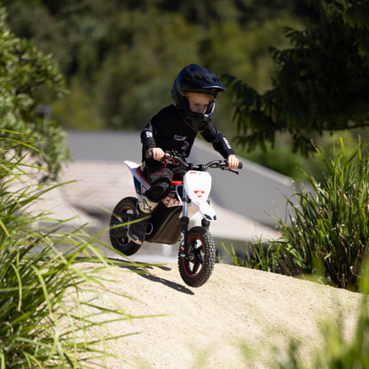 Motocross WARRIOR SX-E250