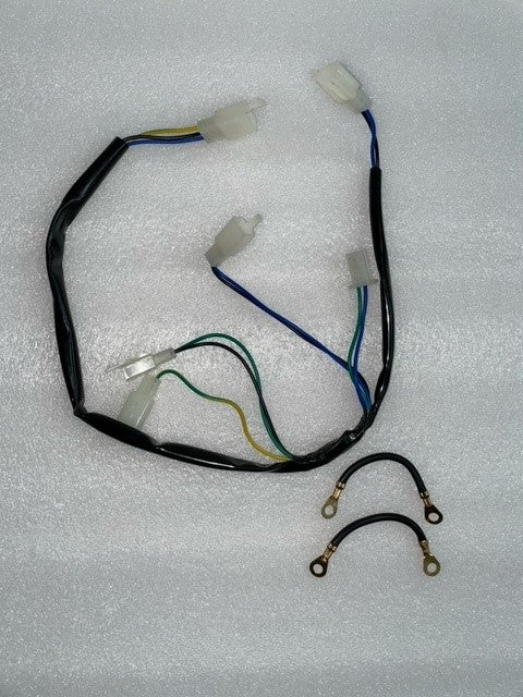 WIRING-MANTERAY-2021_Chinese_37577_1.jpeg