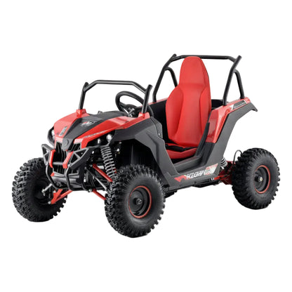 Buggy Renegade