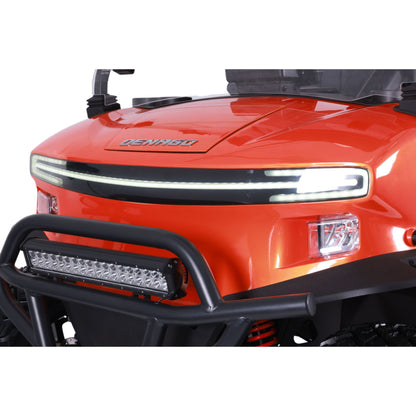 🔥Liquidation🔥 Denago EV Rover XL - Voiturette de Golf Électrique Tout-Terrain